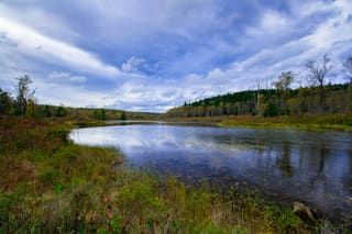 Pendleton Lake surrounded by forest near Harold S. Walters Nature Center