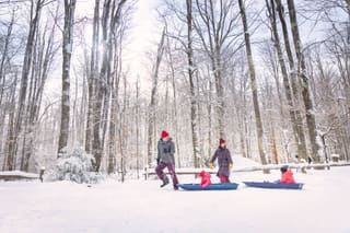 Riders sledding down the snowy Blackwater Falls sled run