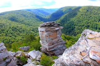 Rocky sandstone outcrop overlooking the forested Blackwater Canyon at Lindy Point