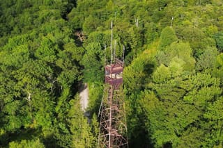 Olson Observation Tower rising above the forest on Backbone Mountain