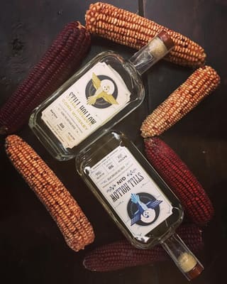 Still Hollow corn whiskey and gin bottles arranged among colorful ears of corn