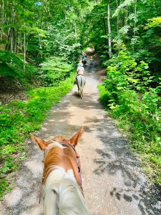 Horseback riders following a wooded trail at Yokum's Seneca Rocks Stables