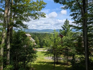 Timberline Mountain framed by trees above the valley from Trail Magic Chalet in summer